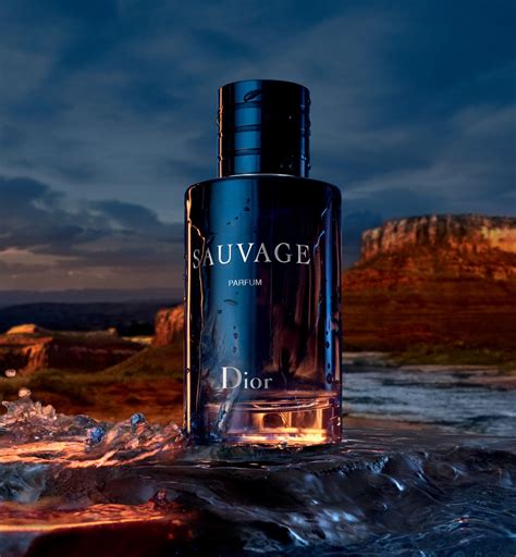 Dior sauvage the bay